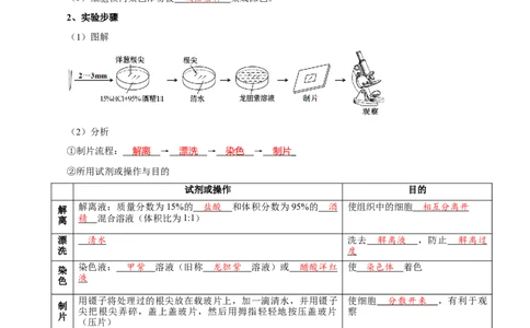 题型8细胞生命历程的易错辨析（核心知识）（解析版）_新高考复习资料_2023年新高考复习资料_二轮复习_技巧点拨备战2023年高考生物二轮题型复习讲解286731240