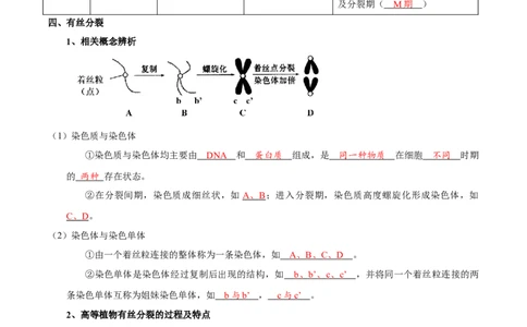 题型8细胞生命历程的易错辨析（核心知识）（解析版）_新高考复习资料_2023年新高考复习资料_二轮复习_技巧点拨备战2023年高考生物二轮题型复习讲解286731240