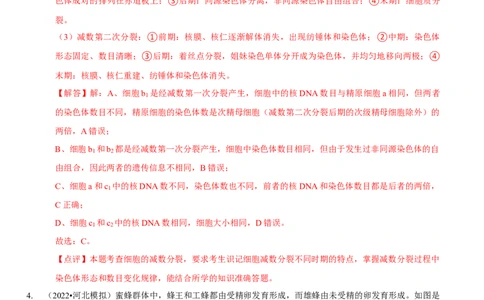 题型10构建模型，解减数分裂疑难问题（题型集训）（解析版）_新高考复习资料_2023年新高考复习资料_二轮复习_技巧点拨备战2023年高考生物二轮题型复习讲解286731240