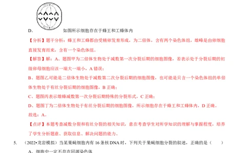 题型10构建模型，解减数分裂疑难问题（题型集训）（解析版）_新高考复习资料_2023年新高考复习资料_二轮复习_技巧点拨备战2023年高考生物二轮题型复习讲解286731240