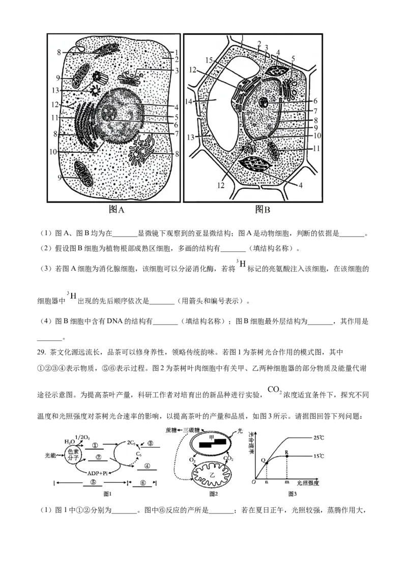 陕西省商洛市2024-2025学年高一上学期1月期末生物试题Word版无答案_2025年03月试卷_0306陕西省商洛市2024-2025学年高一上学期1月期末考试