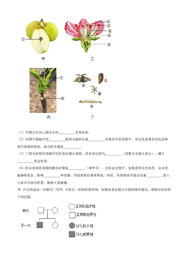 精品解析：2023年新疆维吾尔自治区新疆生产建设兵团中考生物真题（原卷版）_new_6生物中考复习_2025中考复习资料_中考真题（近三年）_2023年生物中考真题