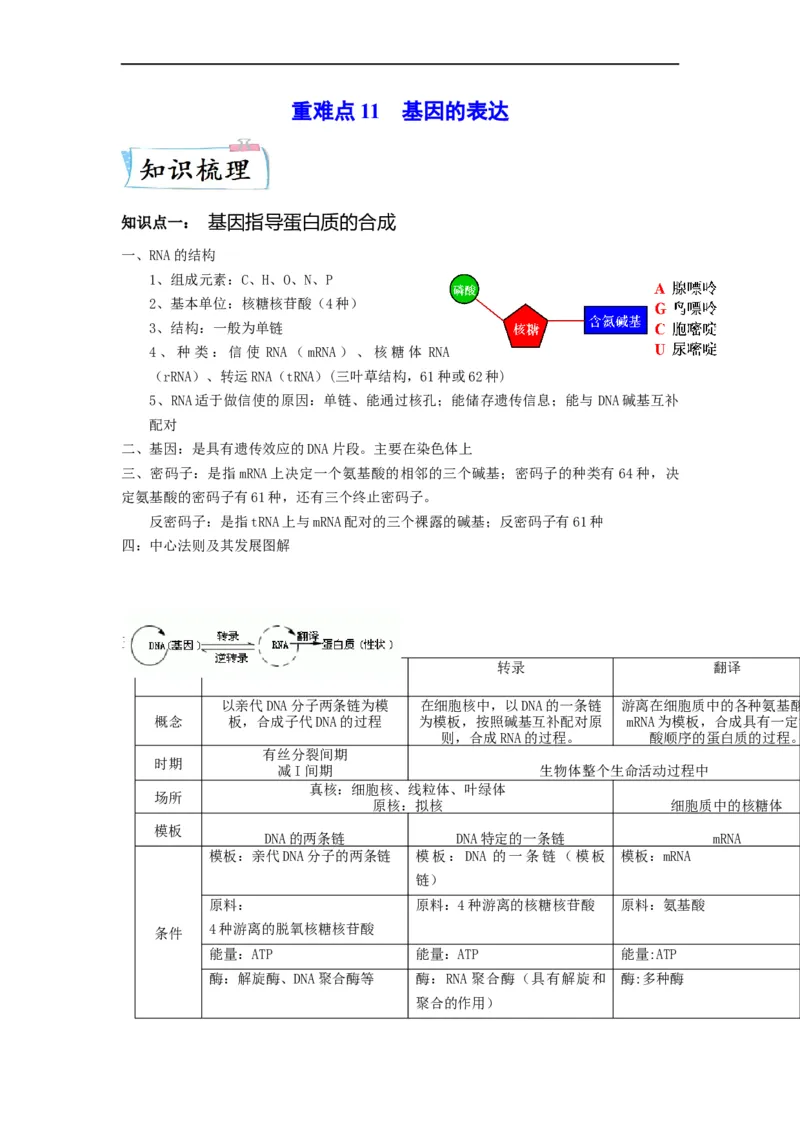 重难点11基因的表达（原卷版）_通用版（老高考）复习资料_2023年复习资料_专项复习_2023年高考生物热点&middot;重点&middot;难点专练（全国通用）
