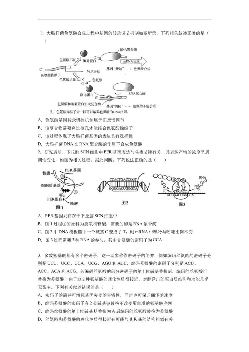重难点11基因的表达（原卷版）_通用版（老高考）复习资料_2023年复习资料_专项复习_2023年高考生物热点&middot;重点&middot;难点专练（全国通用）