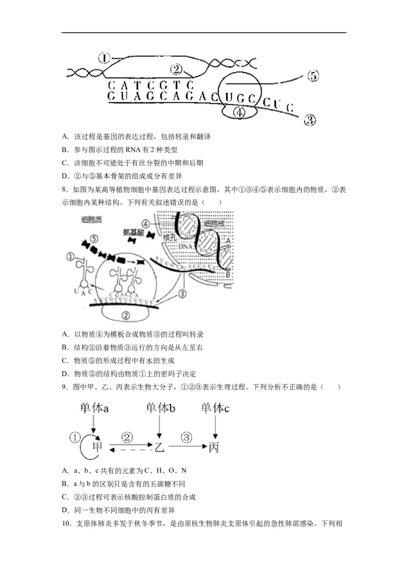 重难点11基因的表达（原卷版）_通用版（老高考）复习资料_2023年复习资料_专项复习_2023年高考生物热点&middot;重点&middot;难点专练（全国通用）