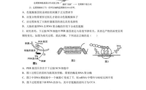 重难点11基因的表达（原卷版）_通用版（老高考）复习资料_2023年复习资料_专项复习_2023年高考生物热点&middot;重点&middot;难点专练（全国通用）
