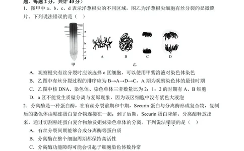 高一下学期第1次月考生物试题(1)_2025年03月试卷_0311湖北省武汉市第六中学2024-2025学年高一下学期3月月考_湖北省武汉市第六中学2024-2025学年高一下学期第1次月考生物试题PDF版含答案