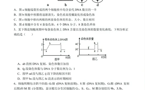高一下学期第1次月考生物试题(1)_2025年03月试卷_0311湖北省武汉市第六中学2024-2025学年高一下学期3月月考_湖北省武汉市第六中学2024-2025学年高一下学期第1次月考生物试题PDF版含答案