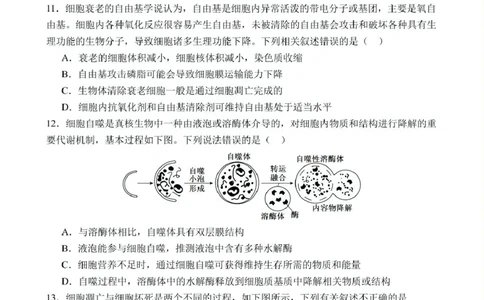 高一下学期第1次月考生物试题(1)_2025年03月试卷_0311湖北省武汉市第六中学2024-2025学年高一下学期3月月考_湖北省武汉市第六中学2024-2025学年高一下学期第1次月考生物试题PDF版含答案