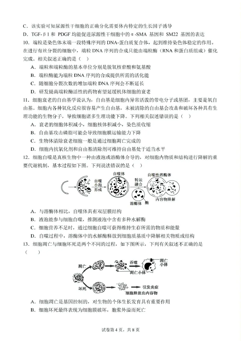 高一下学期第1次月考生物试题(1)_2025年03月试卷_0311湖北省武汉市第六中学2024-2025学年高一下学期3月月考_湖北省武汉市第六中学2024-2025学年高一下学期第1次月考生物试题PDF版含答案