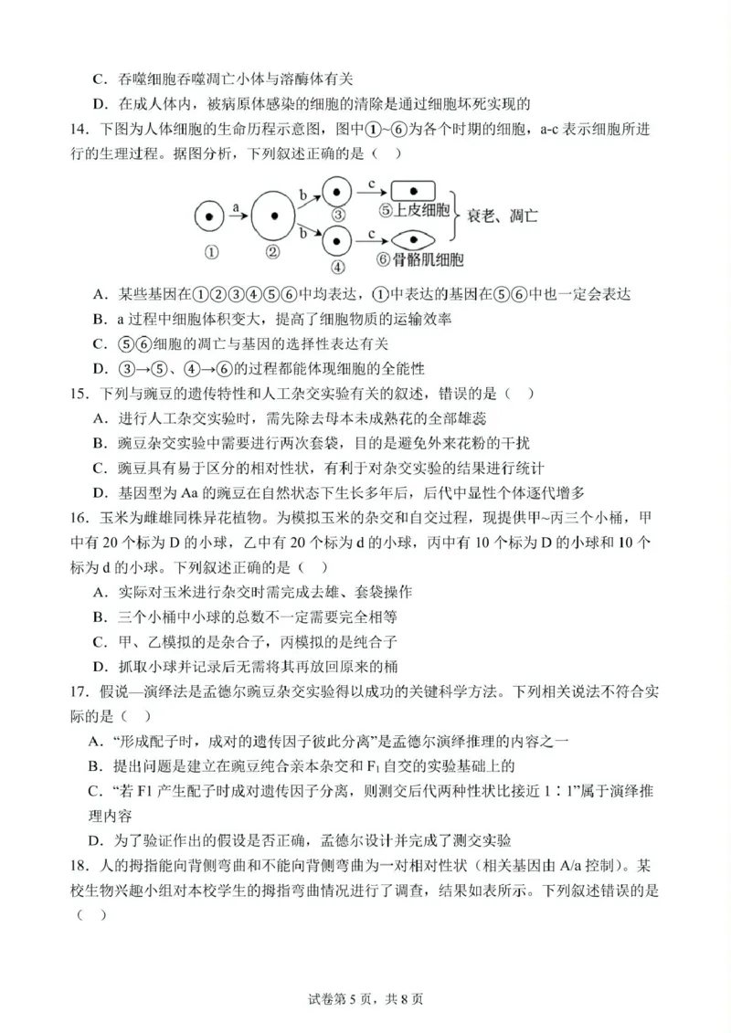 高一下学期第1次月考生物试题(1)_2025年03月试卷_0311湖北省武汉市第六中学2024-2025学年高一下学期3月月考_湖北省武汉市第六中学2024-2025学年高一下学期第1次月考生物试题PDF版含答案