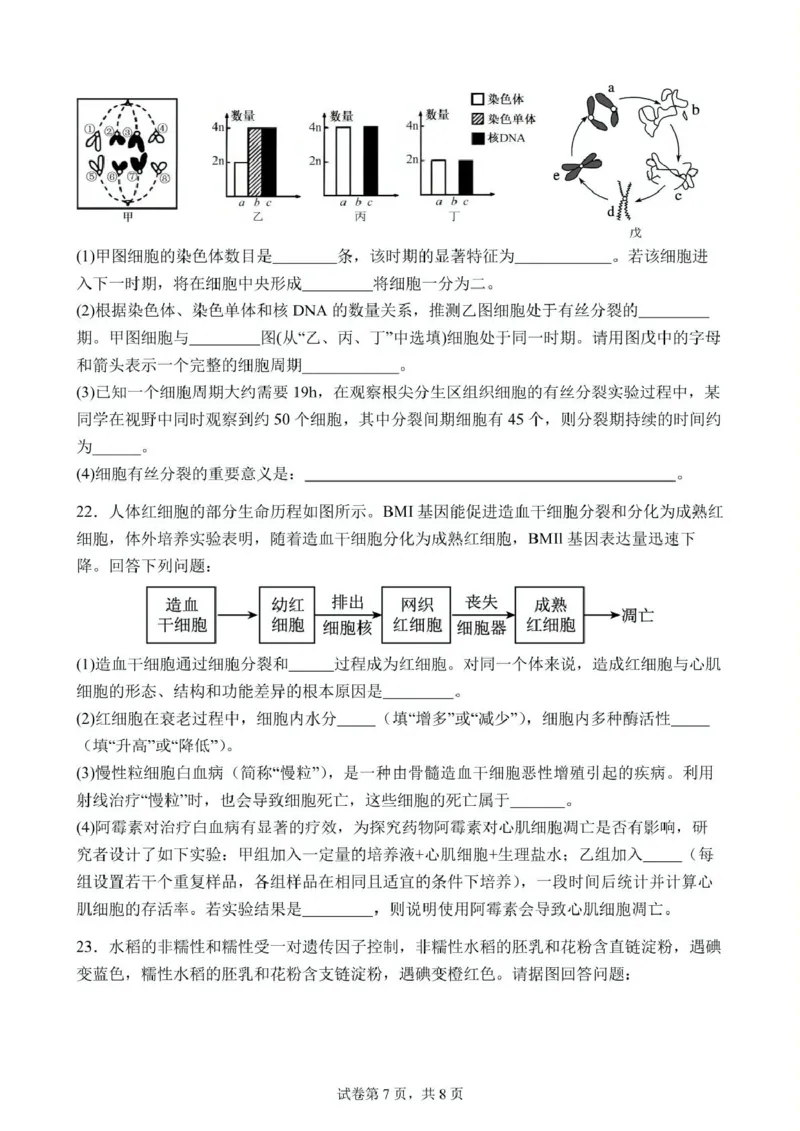 高一下学期第1次月考生物试题(1)_2025年03月试卷_0311湖北省武汉市第六中学2024-2025学年高一下学期3月月考_湖北省武汉市第六中学2024-2025学年高一下学期第1次月考生物试题PDF版含答案