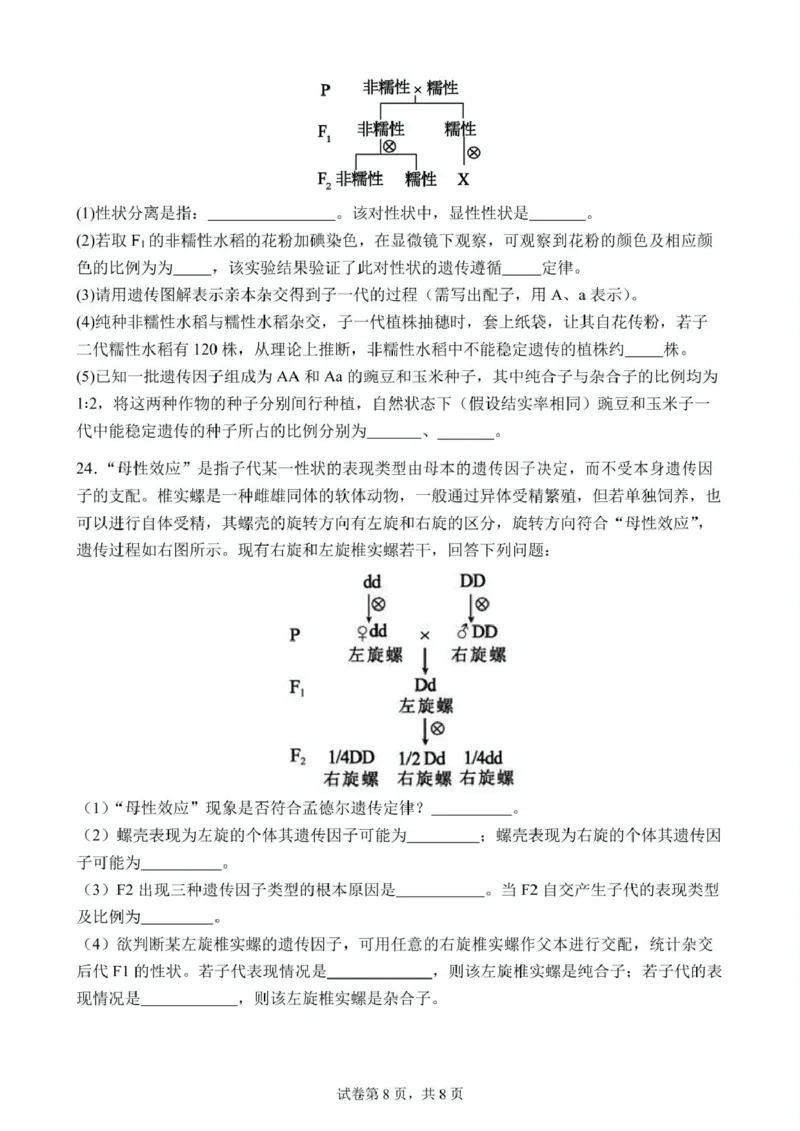 高一下学期第1次月考生物试题(1)_2025年03月试卷_0311湖北省武汉市第六中学2024-2025学年高一下学期3月月考_湖北省武汉市第六中学2024-2025学年高一下学期第1次月考生物试题PDF版含答案