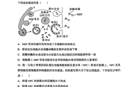 重庆鲁能巴蜀中学校2024-2025学年高一下学期3月月考生物试题生物试题_2025年04月试卷_0418重庆市巴蜀中学2024-2025学年高一下学期3月月考