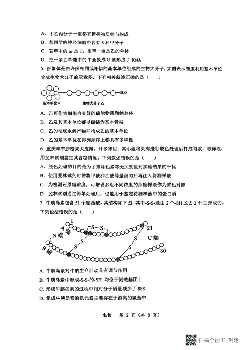 重庆鲁能巴蜀中学校2024-2025学年高一下学期3月月考生物试题生物试题_2025年04月试卷_0418重庆市巴蜀中学2024-2025学年高一下学期3月月考