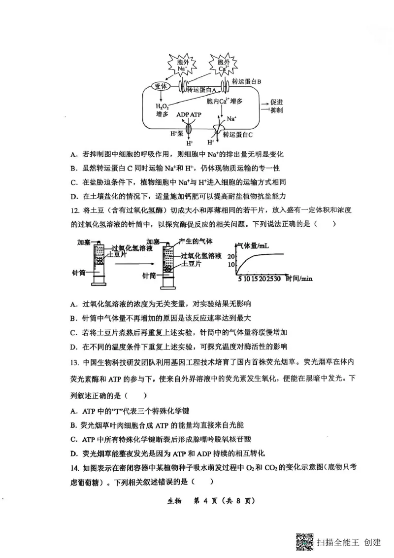 重庆鲁能巴蜀中学校2024-2025学年高一下学期3月月考生物试题生物试题_2025年04月试卷_0418重庆市巴蜀中学2024-2025学年高一下学期3月月考