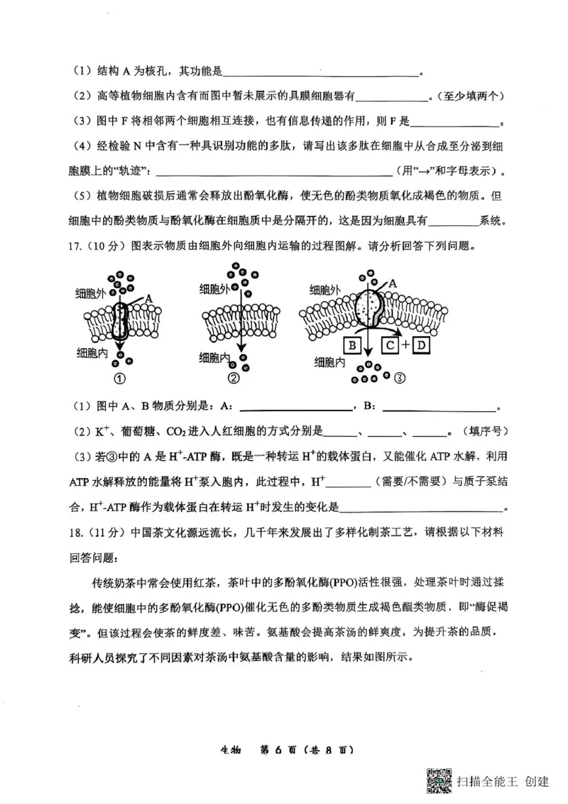 重庆鲁能巴蜀中学校2024-2025学年高一下学期3月月考生物试题生物试题_2025年04月试卷_0418重庆市巴蜀中学2024-2025学年高一下学期3月月考