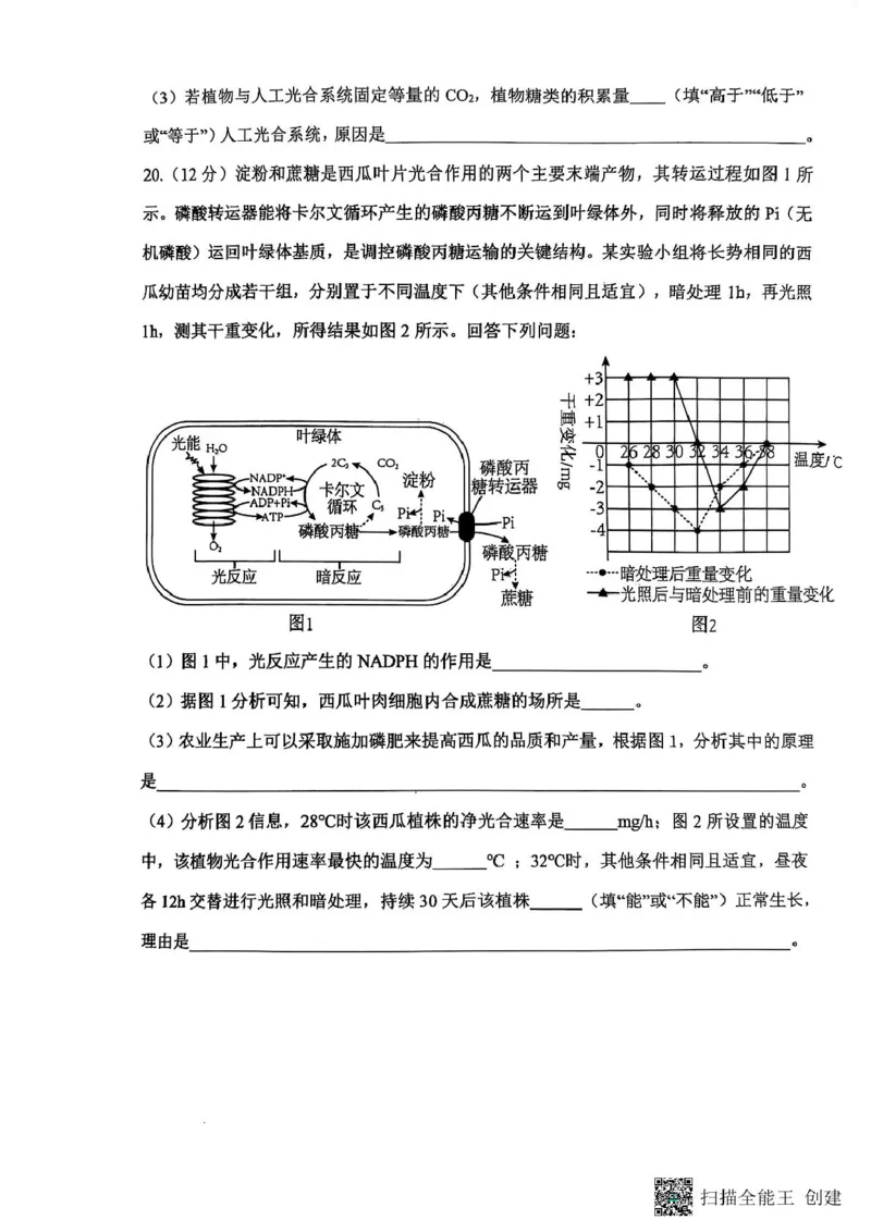 重庆鲁能巴蜀中学校2024-2025学年高一下学期3月月考生物试题生物试题_2025年04月试卷_0418重庆市巴蜀中学2024-2025学年高一下学期3月月考