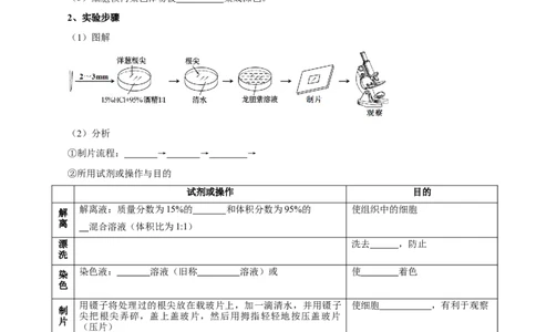 题型8细胞生命历程的易错辨析（核心知识）（原卷版）_新高考复习资料_2023年新高考复习资料_二轮复习_技巧点拨备战2023年高考生物二轮题型复习讲解286731240