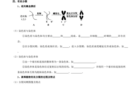 题型8细胞生命历程的易错辨析（核心知识）（原卷版）_新高考复习资料_2023年新高考复习资料_二轮复习_技巧点拨备战2023年高考生物二轮题型复习讲解286731240