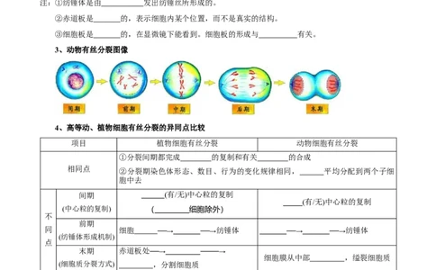 题型8细胞生命历程的易错辨析（核心知识）（原卷版）_新高考复习资料_2023年新高考复习资料_二轮复习_技巧点拨备战2023年高考生物二轮题型复习讲解286731240