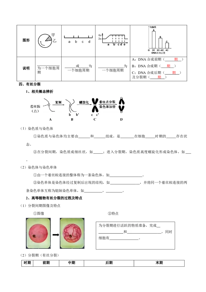 题型8细胞生命历程的易错辨析（核心知识）（原卷版）_新高考复习资料_2023年新高考复习资料_二轮复习_技巧点拨备战2023年高考生物二轮题型复习讲解286731240