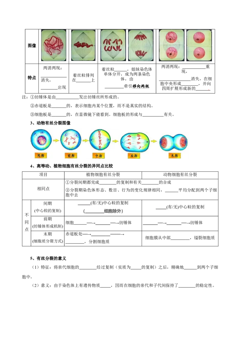 题型8细胞生命历程的易错辨析（核心知识）（原卷版）_新高考复习资料_2023年新高考复习资料_二轮复习_技巧点拨备战2023年高考生物二轮题型复习讲解286731240