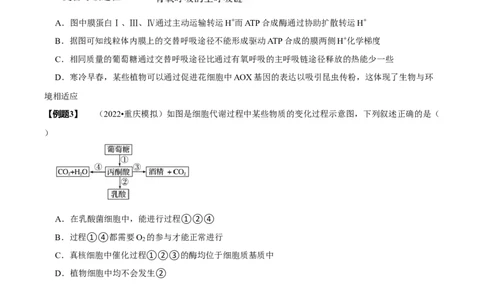 题型5从物质与能量视角探索细胞呼吸（题型归纳）（原卷版）_新高考复习资料_2023年新高考复习资料_二轮复习_技巧点拨备战2023年高考生物二轮题型复习讲解286731240