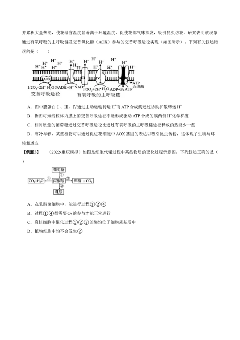 题型5从物质与能量视角探索细胞呼吸（题型归纳）（原卷版）_新高考复习资料_2023年新高考复习资料_二轮复习_技巧点拨备战2023年高考生物二轮题型复习讲解286731240