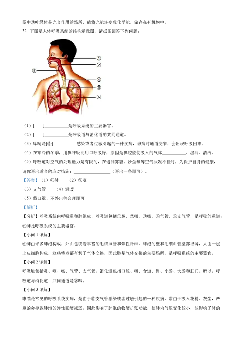 精品解析：2024年黑龙江省齐齐哈尔市中考生物真题（解析版）_new_6生物中考复习_2025中考复习资料_中考真题（近三年）_2024年生物中考真题