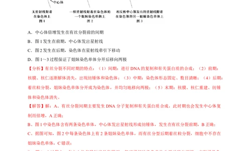题型8细胞生命历程的易错辨析（题型归纳）（解析版）_新高考复习资料_2023年新高考复习资料_二轮复习_技巧点拨备战2023年高考生物二轮题型复习讲解286731240