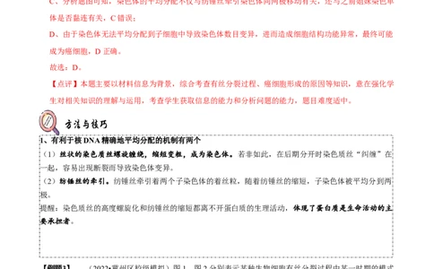 题型8细胞生命历程的易错辨析（题型归纳）（解析版）_新高考复习资料_2023年新高考复习资料_二轮复习_技巧点拨备战2023年高考生物二轮题型复习讲解286731240