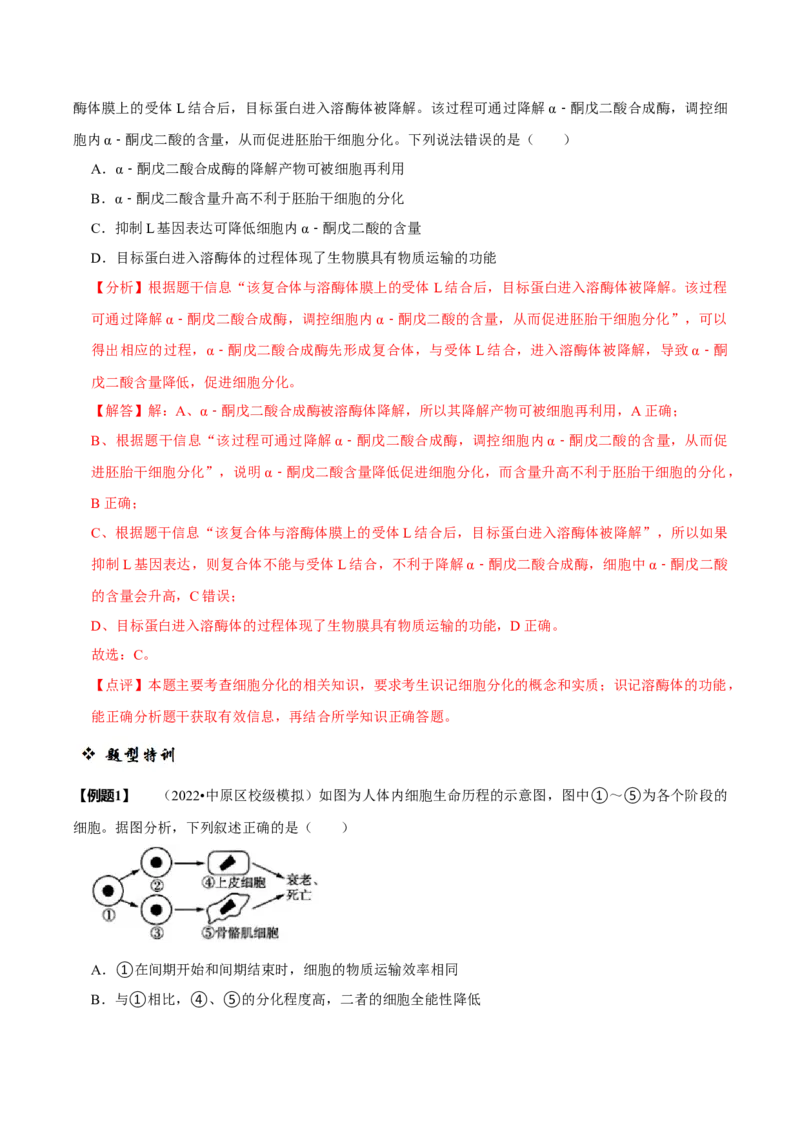 题型8细胞生命历程的易错辨析（题型归纳）（解析版）_新高考复习资料_2023年新高考复习资料_二轮复习_技巧点拨备战2023年高考生物二轮题型复习讲解286731240