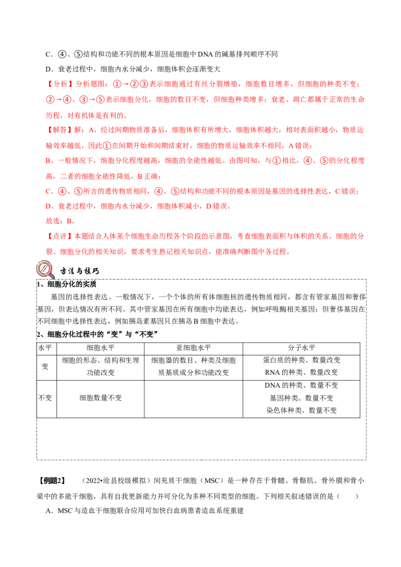 题型8细胞生命历程的易错辨析（题型归纳）（解析版）_新高考复习资料_2023年新高考复习资料_二轮复习_技巧点拨备战2023年高考生物二轮题型复习讲解286731240