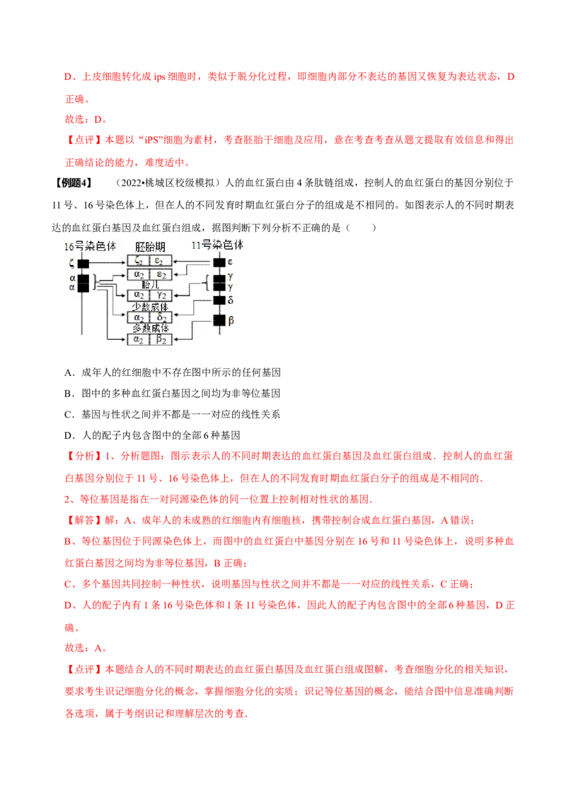 题型8细胞生命历程的易错辨析（题型归纳）（解析版）_新高考复习资料_2023年新高考复习资料_二轮复习_技巧点拨备战2023年高考生物二轮题型复习讲解286731240