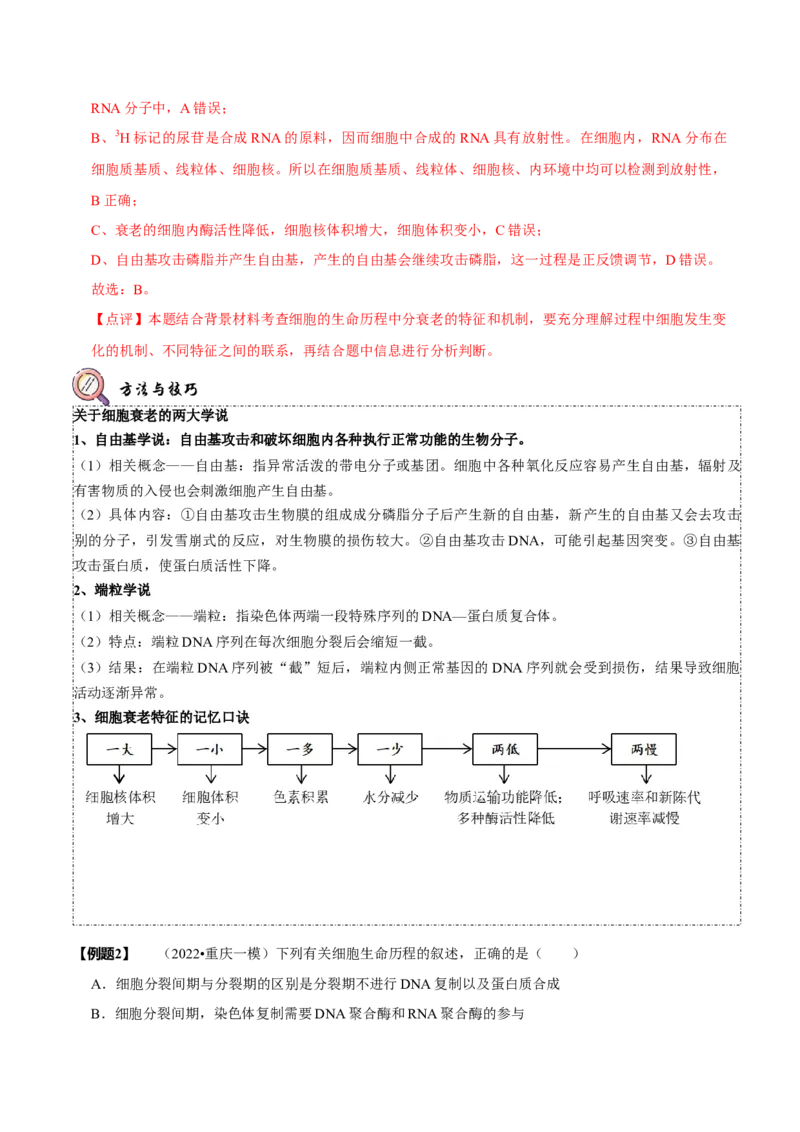 题型8细胞生命历程的易错辨析（题型归纳）（解析版）_新高考复习资料_2023年新高考复习资料_二轮复习_技巧点拨备战2023年高考生物二轮题型复习讲解286731240