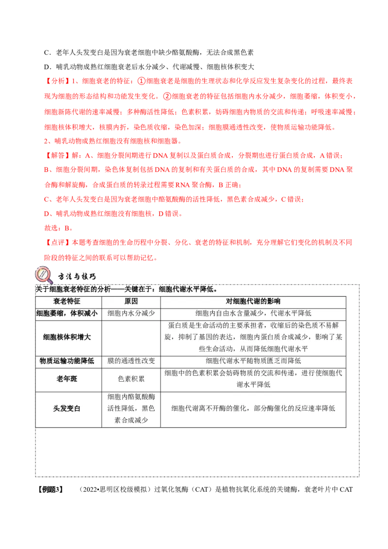 题型8细胞生命历程的易错辨析（题型归纳）（解析版）_新高考复习资料_2023年新高考复习资料_二轮复习_技巧点拨备战2023年高考生物二轮题型复习讲解286731240