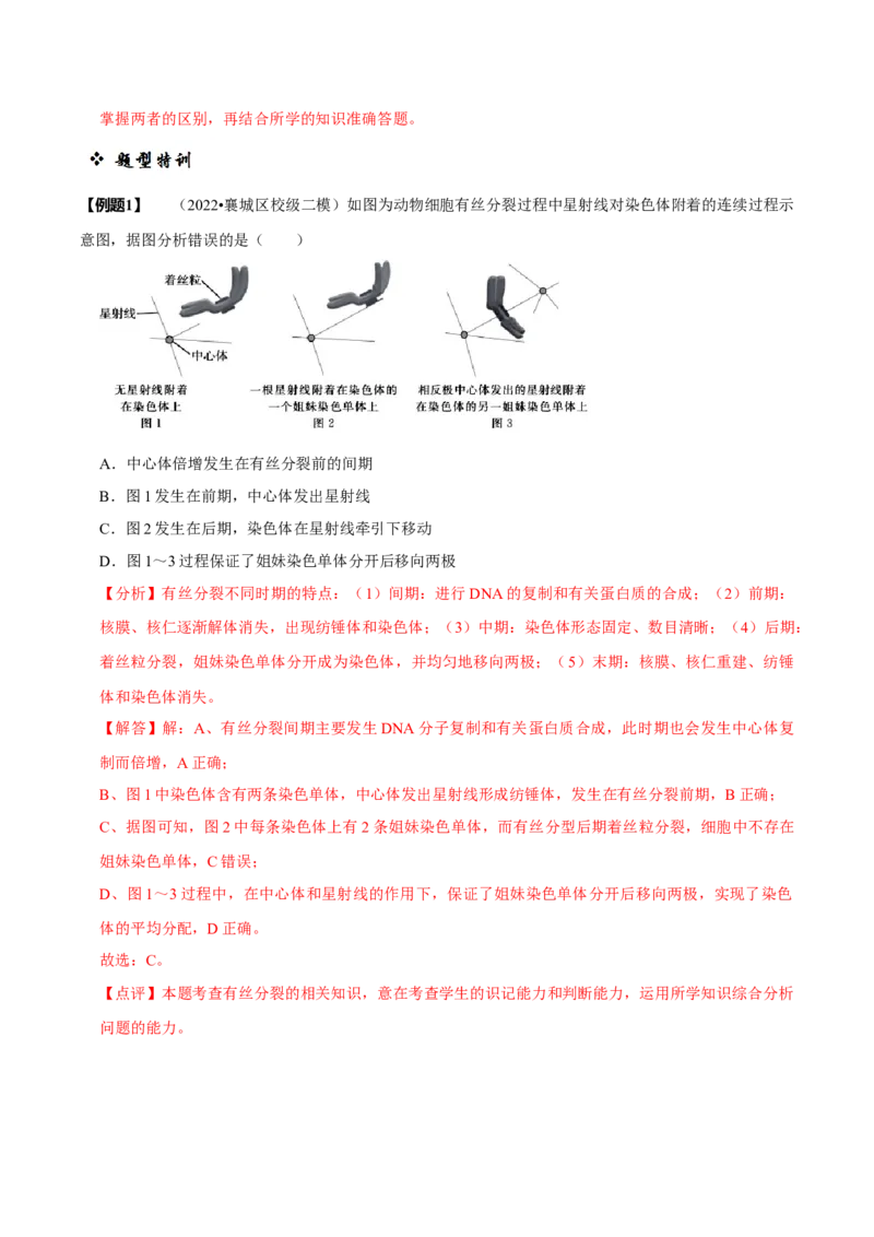 题型8细胞生命历程的易错辨析（题型归纳）（解析版）_新高考复习资料_2023年新高考复习资料_二轮复习_技巧点拨备战2023年高考生物二轮题型复习讲解286731240
