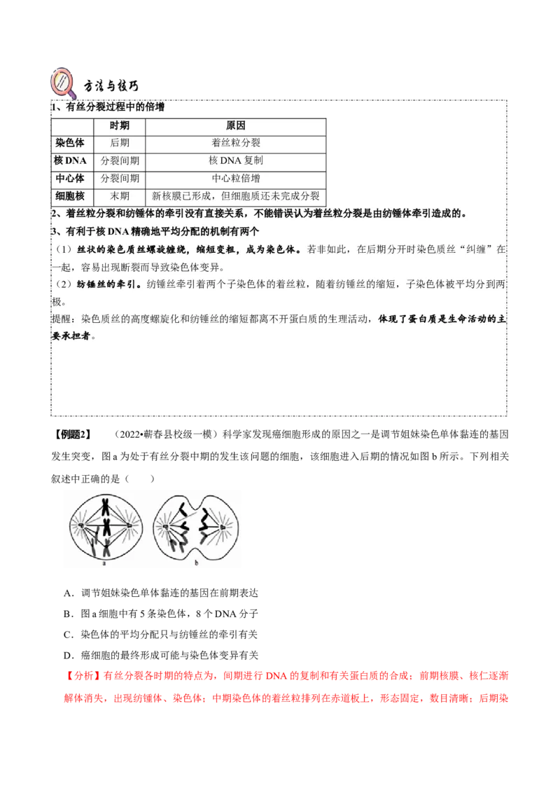 题型8细胞生命历程的易错辨析（题型归纳）（解析版）_新高考复习资料_2023年新高考复习资料_二轮复习_技巧点拨备战2023年高考生物二轮题型复习讲解286731240