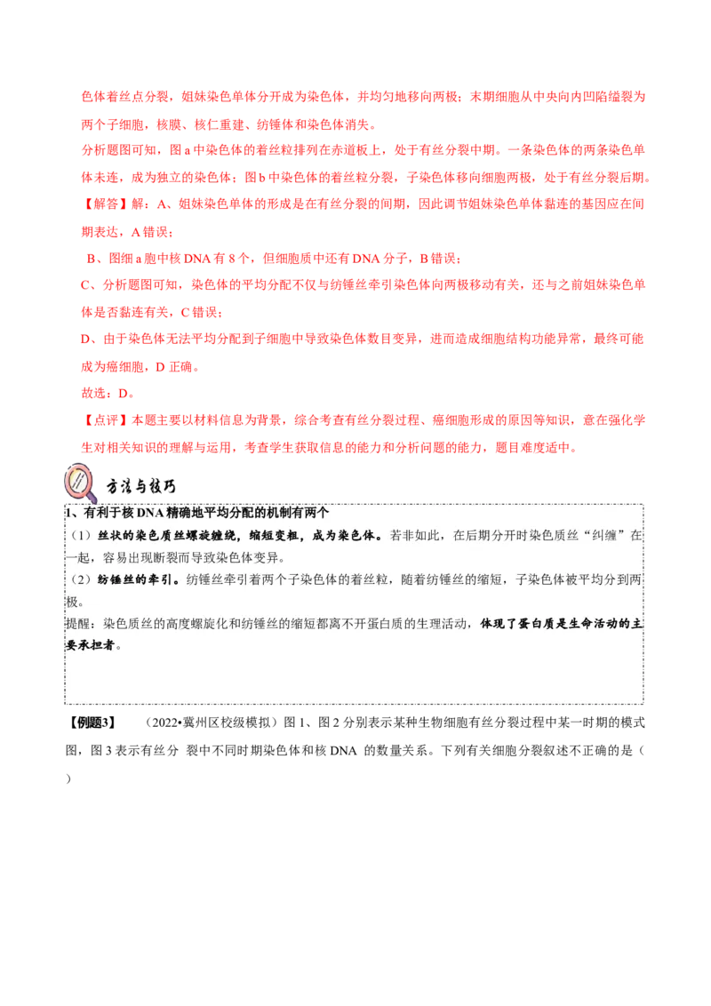 题型8细胞生命历程的易错辨析（题型归纳）（解析版）_新高考复习资料_2023年新高考复习资料_二轮复习_技巧点拨备战2023年高考生物二轮题型复习讲解286731240