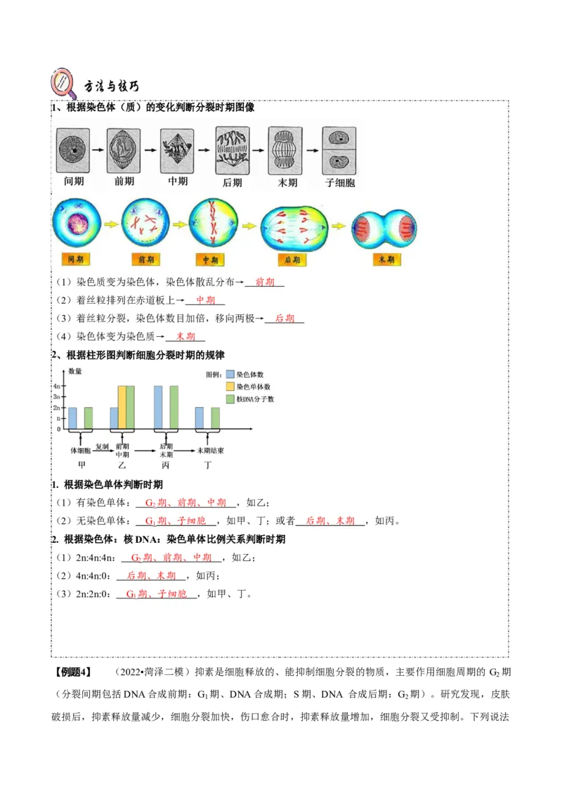 题型8细胞生命历程的易错辨析（题型归纳）（解析版）_新高考复习资料_2023年新高考复习资料_二轮复习_技巧点拨备战2023年高考生物二轮题型复习讲解286731240