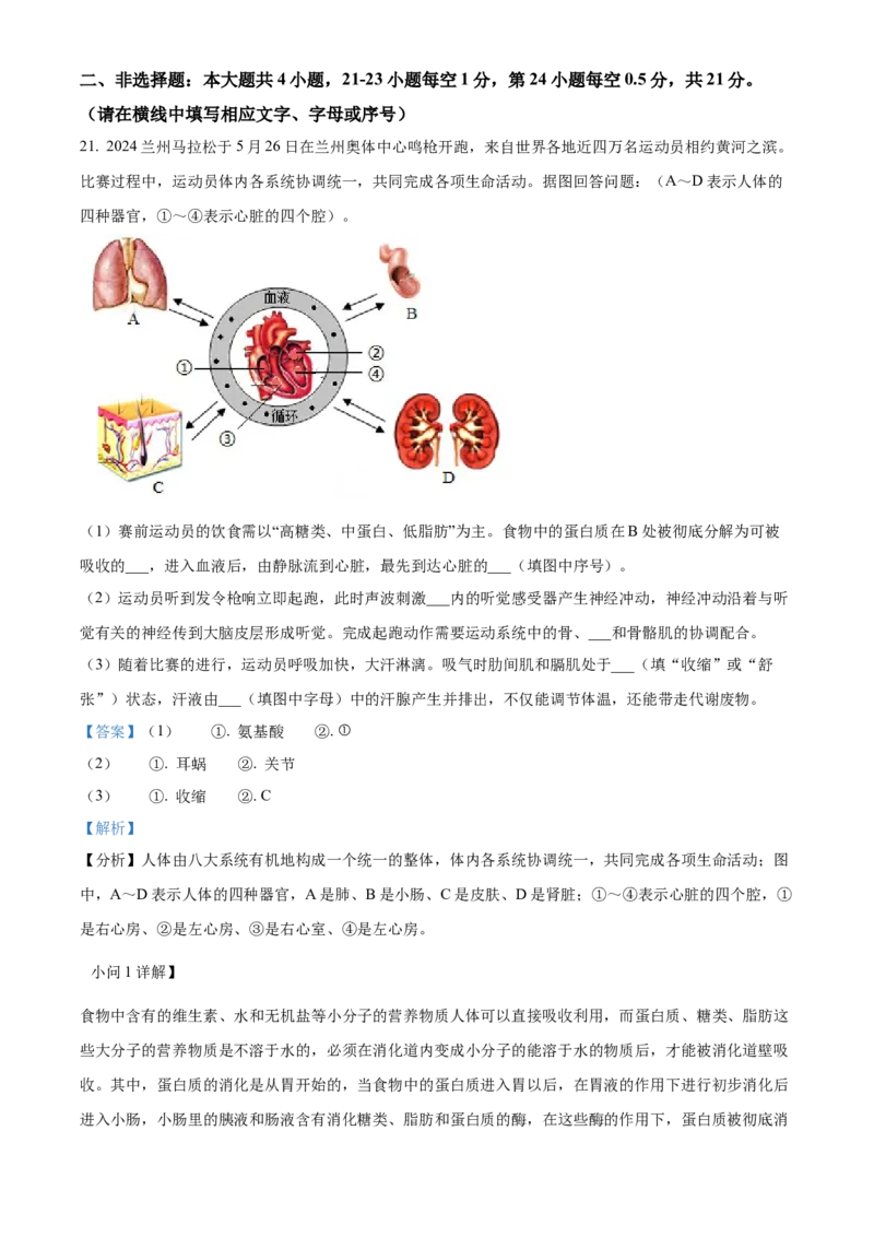 精品解析：2024年甘肃省兰州中考生物真题（解析版）_new_6生物中考复习_2025中考复习资料_中考真题（近三年）_2024年生物中考真题
