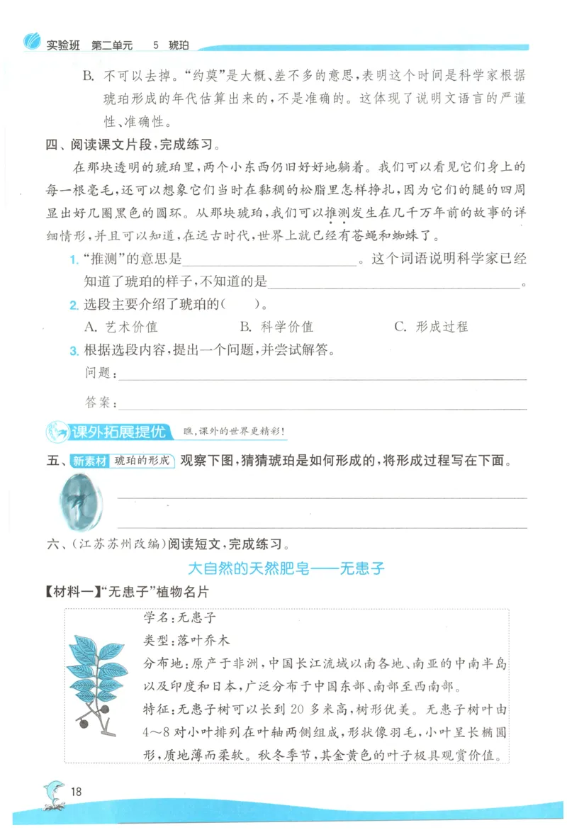 主书_2026春人教语文《实验班提优训练》_2026春《实验班提优训练》语文RJ4下