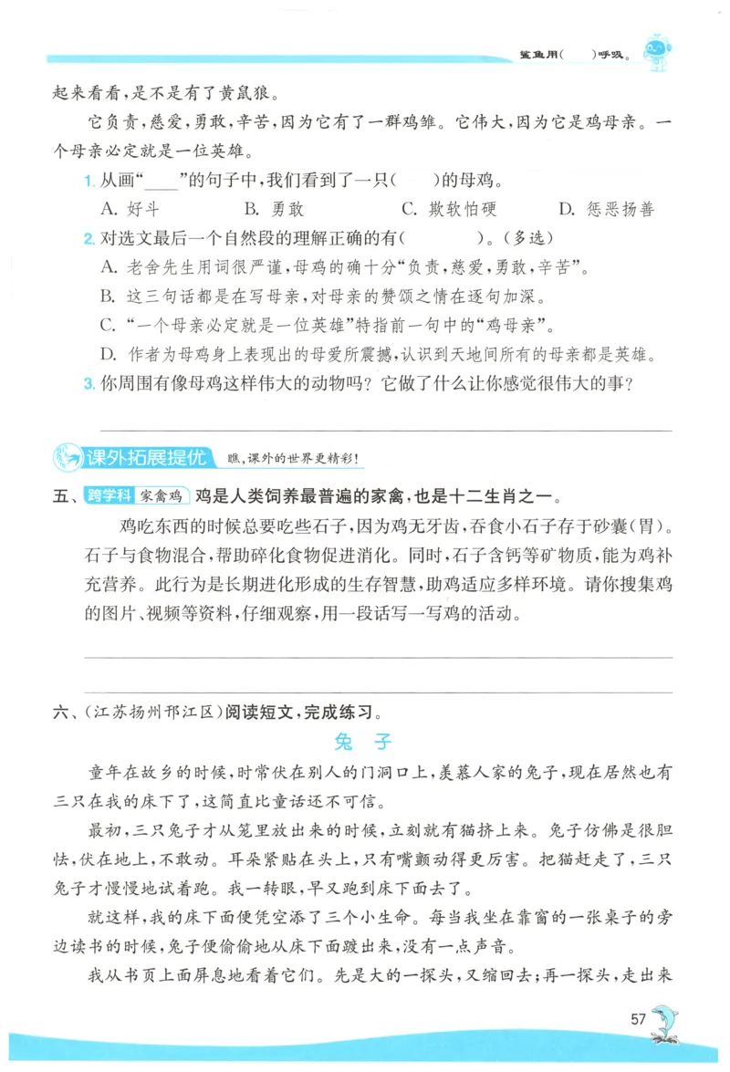 主书_2026春人教语文《实验班提优训练》_2026春《实验班提优训练》语文RJ4下