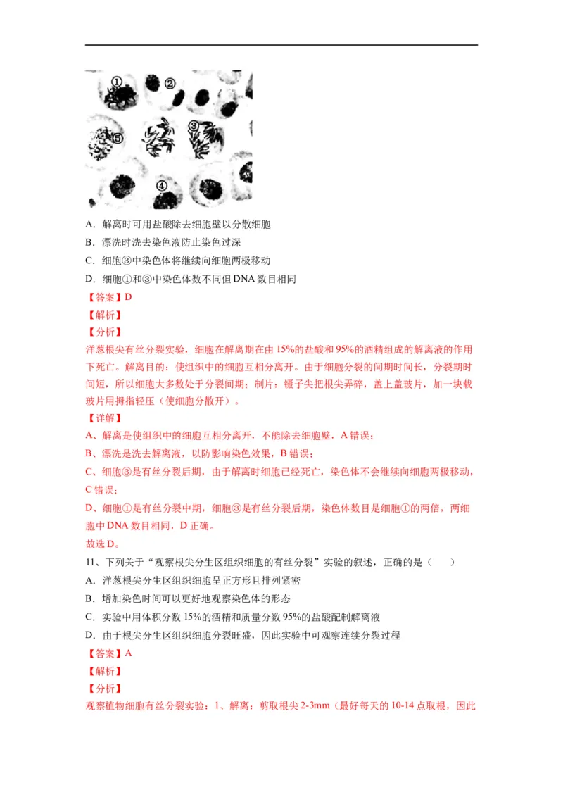 重难点07细胞的生命历程（解析版）_通用版（老高考）复习资料_2023年复习资料_专项复习_2023年高考生物热点&middot;重点&middot;难点专练（全国通用）