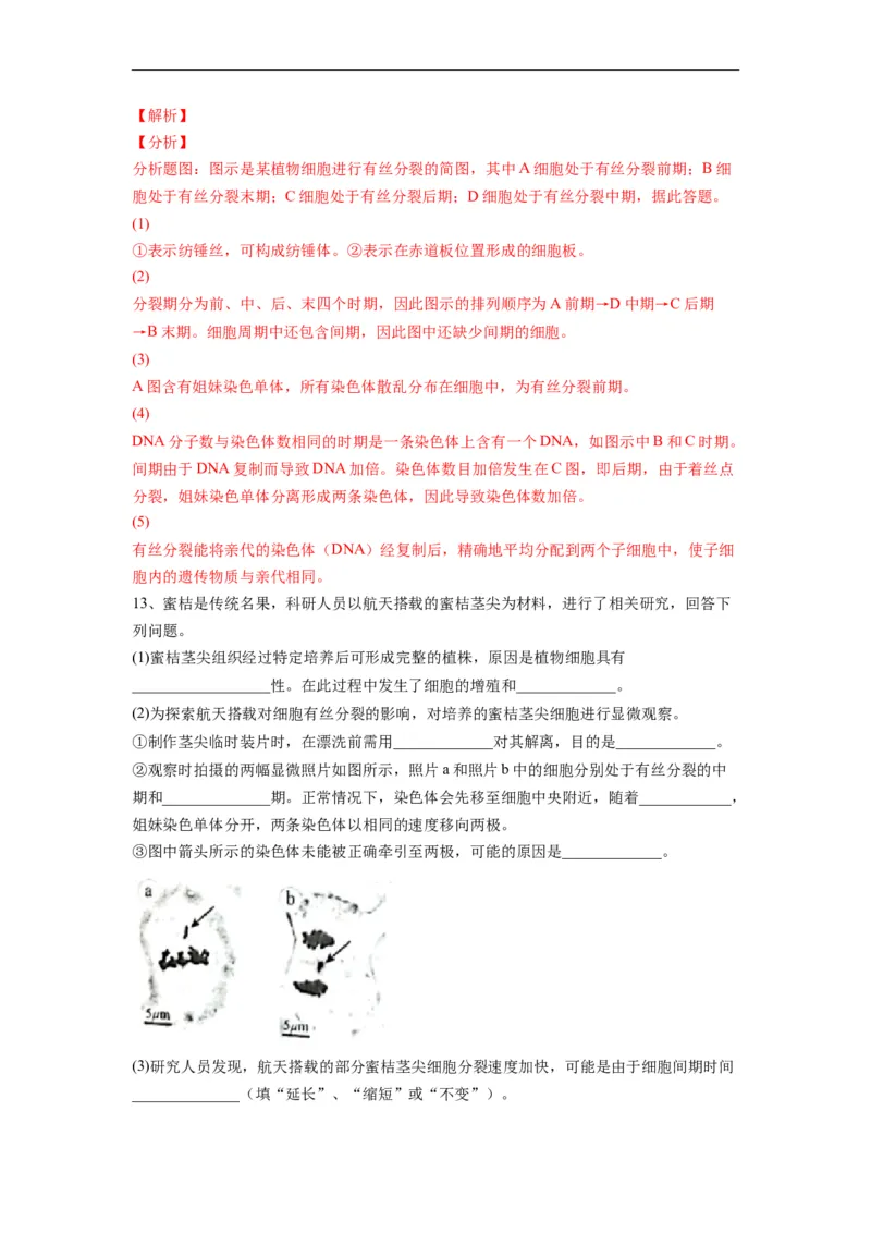 重难点07细胞的生命历程（解析版）_通用版（老高考）复习资料_2023年复习资料_专项复习_2023年高考生物热点&middot;重点&middot;难点专练（全国通用）