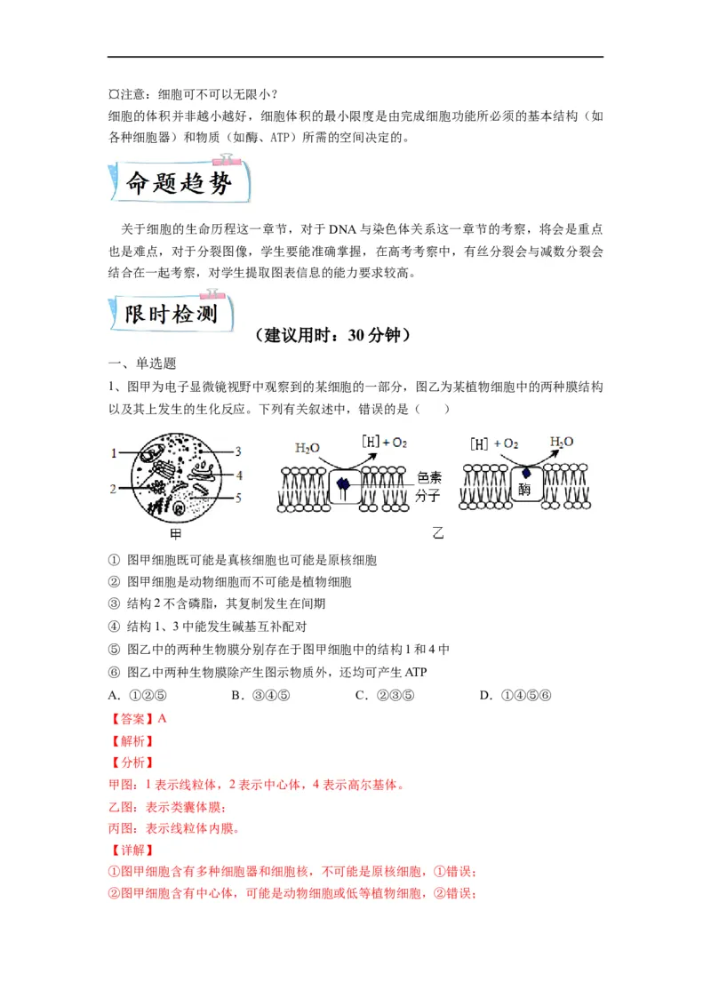 重难点07细胞的生命历程（解析版）_通用版（老高考）复习资料_2023年复习资料_专项复习_2023年高考生物热点&middot;重点&middot;难点专练（全国通用）