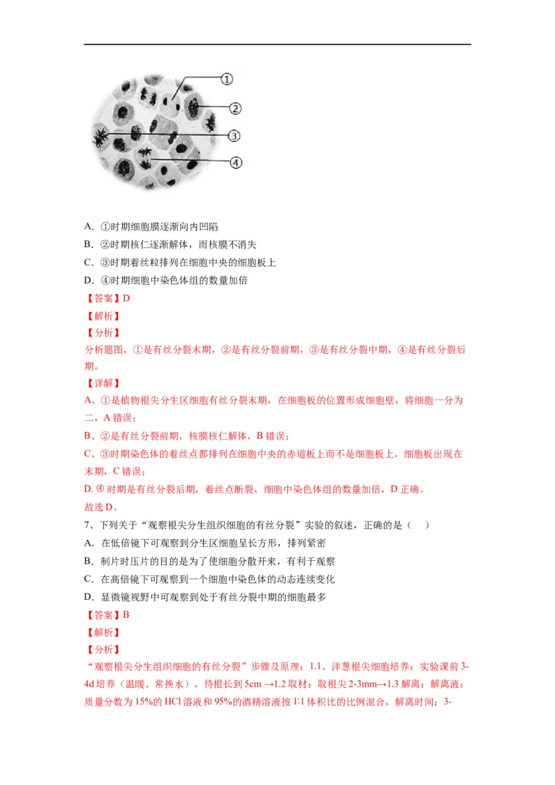 重难点07细胞的生命历程（解析版）_通用版（老高考）复习资料_2023年复习资料_专项复习_2023年高考生物热点&middot;重点&middot;难点专练（全国通用）