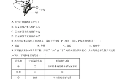 精品解析：2024年河南省中考生物真题（原卷版）_new_6生物中考复习_2025中考复习资料_中考真题（近三年）_2024年生物中考真题