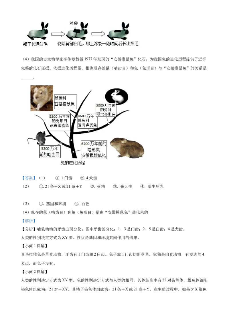 精品解析：2023年山东省烟台市中考生物真题（解析版）_new_6生物中考复习_2025中考复习资料_中考真题（近三年）_2023年生物中考真题